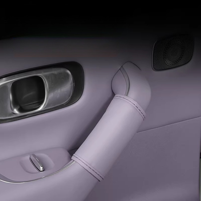 Leren beschermhoes voor de bin - Car Door Handle Protector recensie en prijs